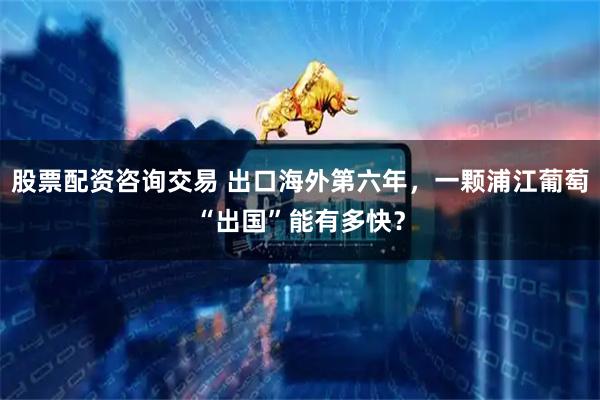 股票配资咨询交易 出口海外第六年，一颗浦江葡萄“出国”能有多快？