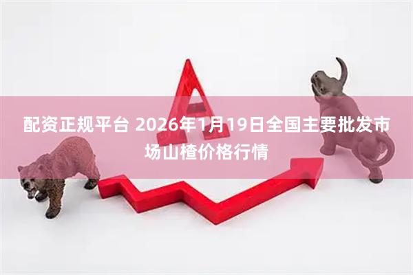 配资正规平台 2026年1月19日全国主要批发市场山楂价格行情
