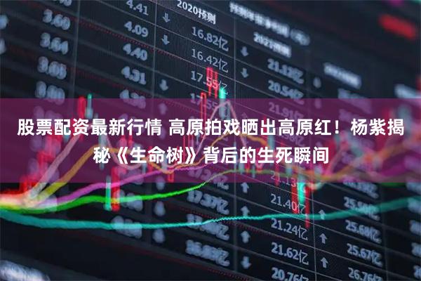 股票配资最新行情 高原拍戏晒出高原红！杨紫揭秘《生命树》背后的生死瞬间