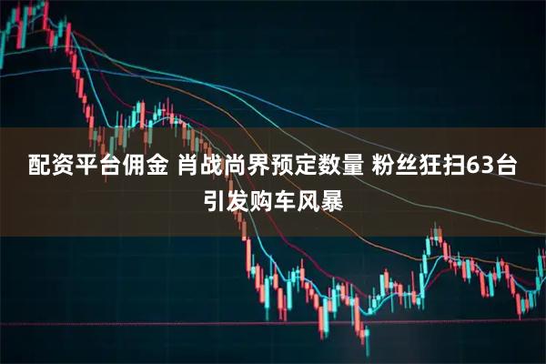 配资平台佣金 肖战尚界预定数量 粉丝狂扫63台引发购车风暴